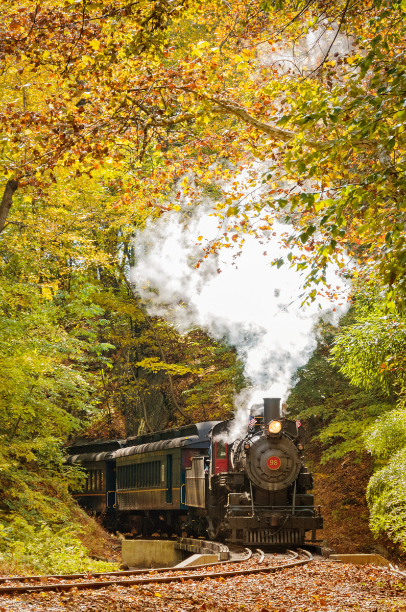 Steam Train with Autumn Foliage Rural Fine Art Canvas Wall Art Prints  - PIPAFINEART