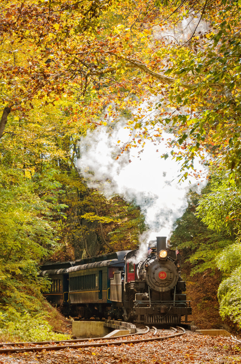 Steam Train with Autumn Foliage Rural Fine Art Canvas Wall Art Prints - PIPAFINEART