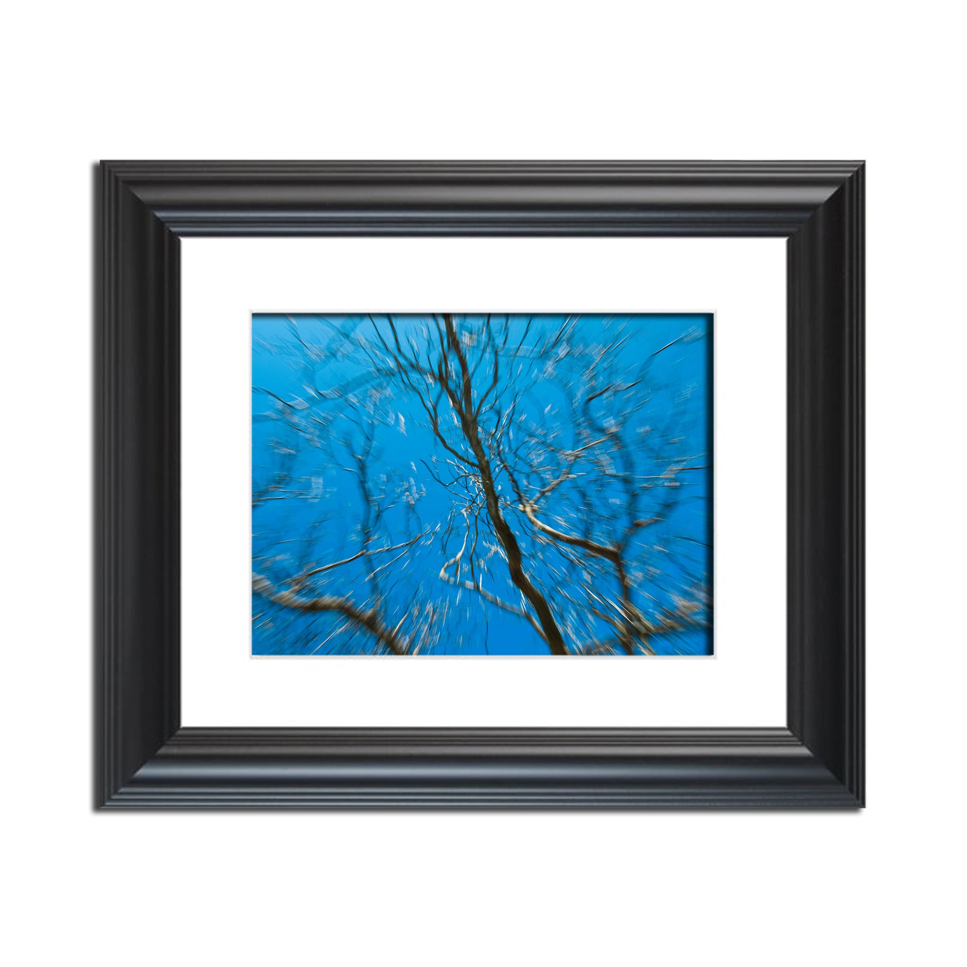 Streaking Tree Abstract Photo Fine Art Canvas & Unframed Wall Art Prints  - PIPAFINEART