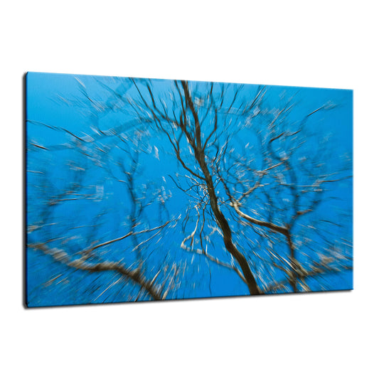 Streaking Tree Abstract Photo Fine Art Canvas & Unframed Wall Art Prints  - PIPAFINEART