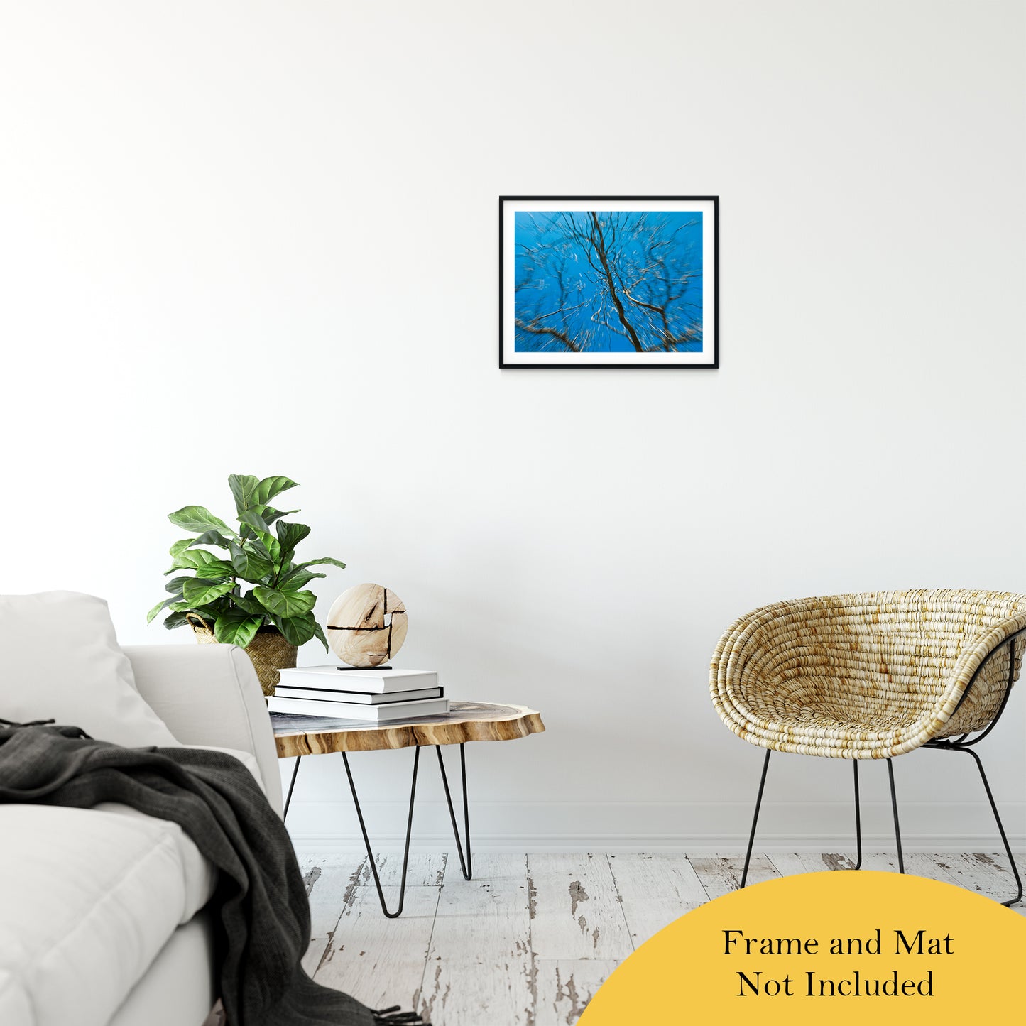Streaking Tree Abstract Photo Fine Art Canvas & Unframed Wall Art Prints 16" x 20" / Classic Paper - Unframed - PIPAFINEART