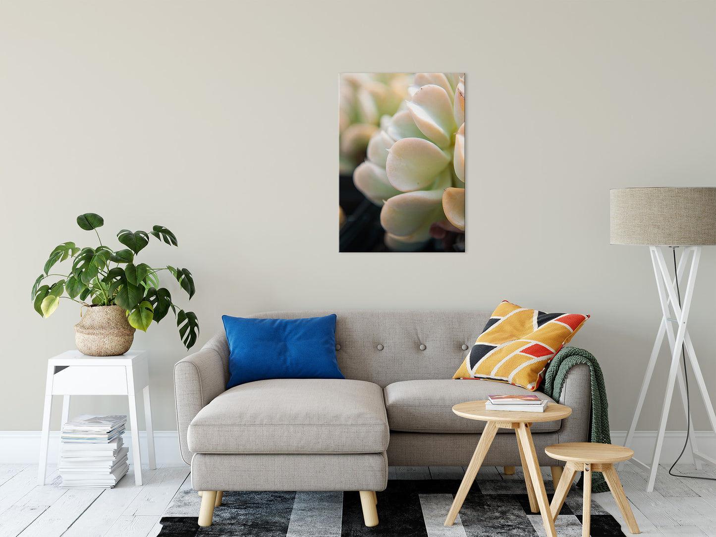 Succulent 4 Botanical / Nature Photo Fine Art Canvas Wall Art Prints 24" x 36" - PIPAFINEART
