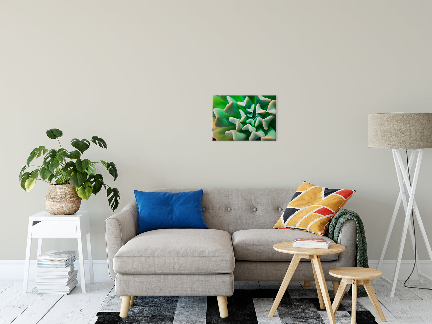 Succulent Botanical / Nature Photo Fine Art Canvas Wall Art Prints 16" x 20" - PIPAFINEART
