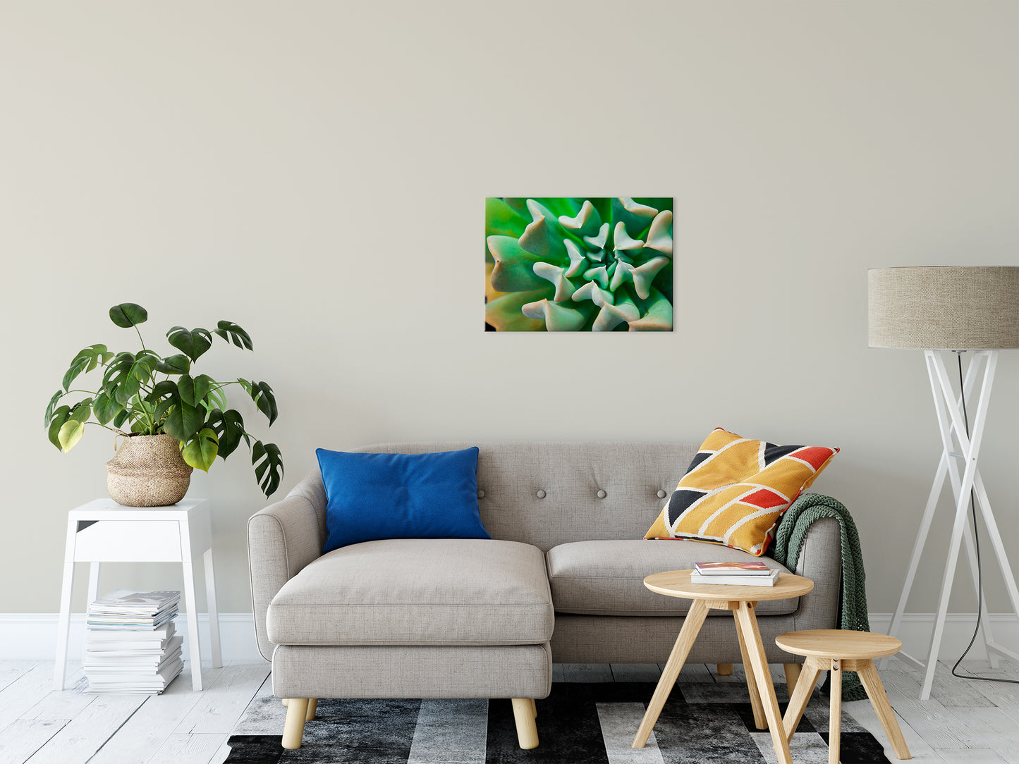 Succulent Botanical / Nature Photo Fine Art Canvas Wall Art Prints 20" x 24" - PIPAFINEART