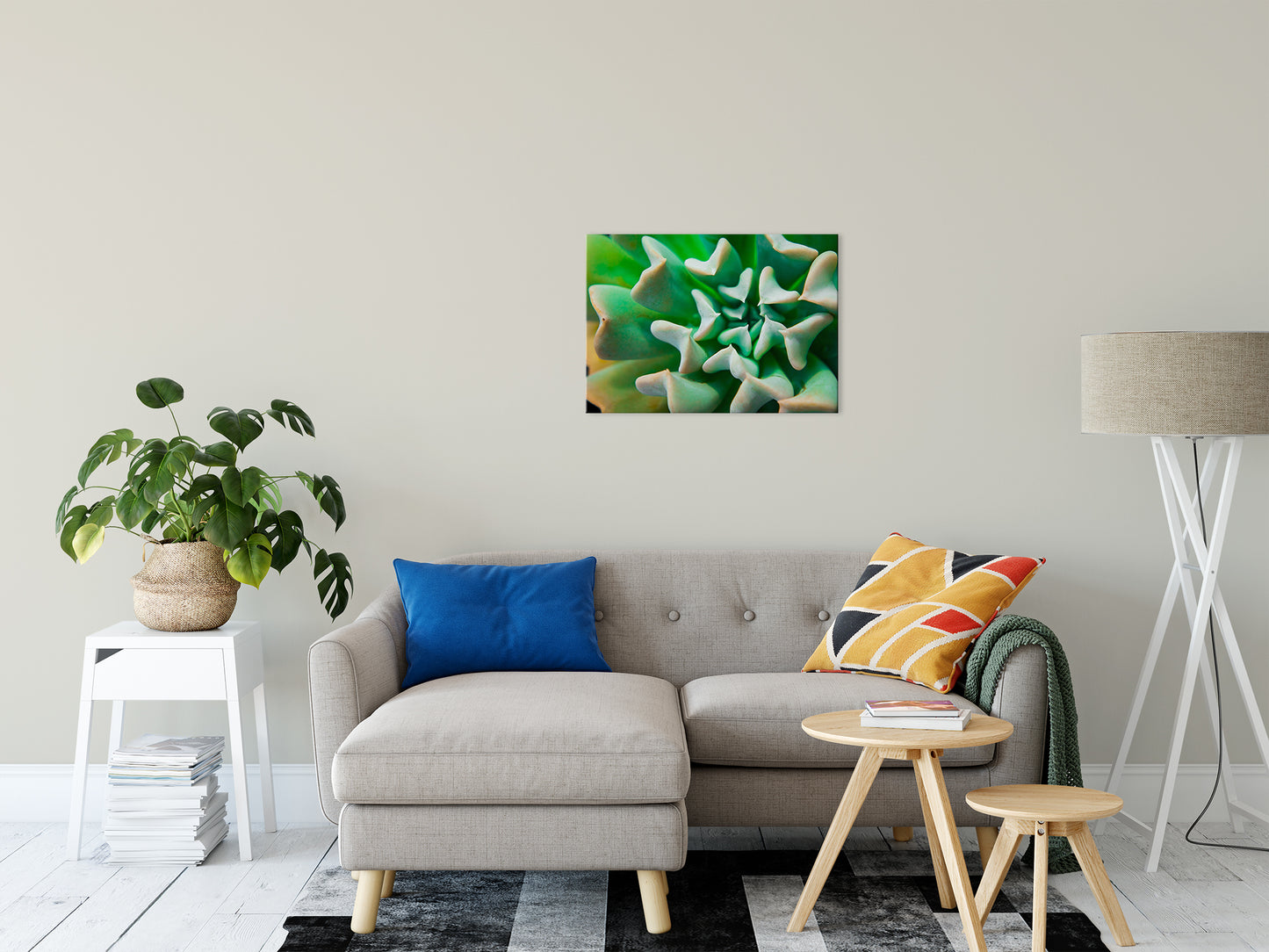 Succulent Botanical / Nature Photo Fine Art Canvas Wall Art Prints 20" x 30" - PIPAFINEART