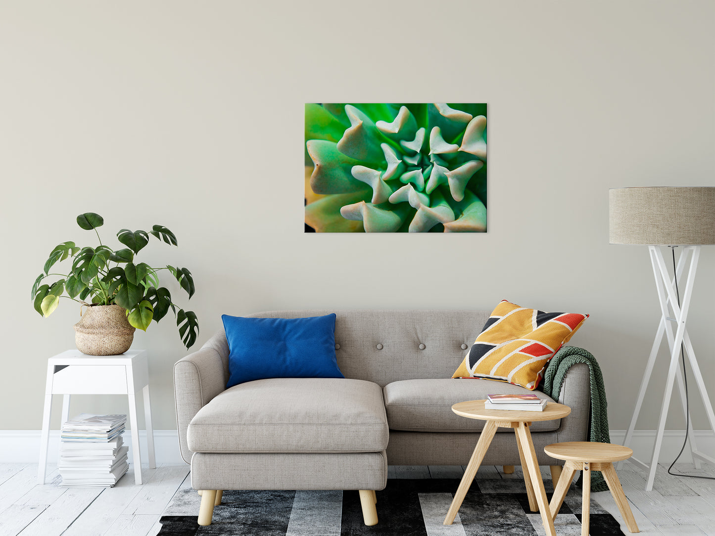 Succulent Botanical / Nature Photo Fine Art Canvas Wall Art Prints 24" x 36" - PIPAFINEART