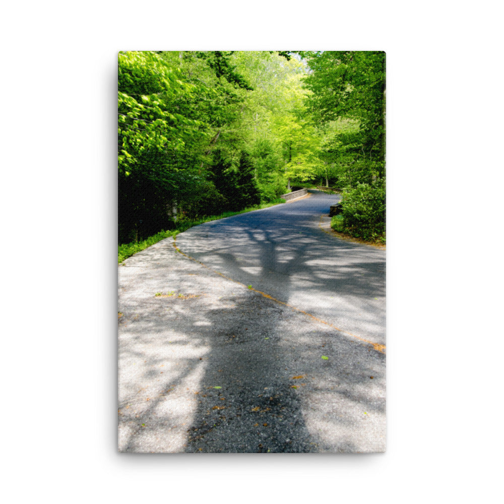 Summer Shadows Botanical Nature Canvas Wall Art Prints