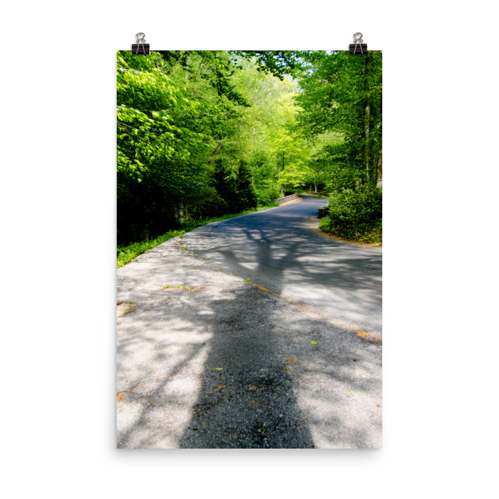 Summer Shadows Botanical Nature Photo Loose Unframed Wall Art Prints - PIPAFINEART