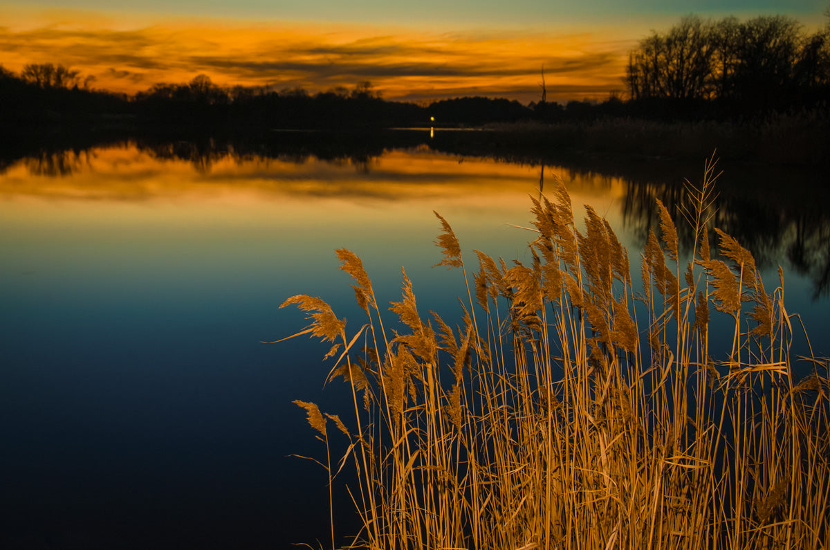 Sunset at Reedy Point Pond Landscape Fine Art Canvas Wall Art Prints - PIPAFINEART
