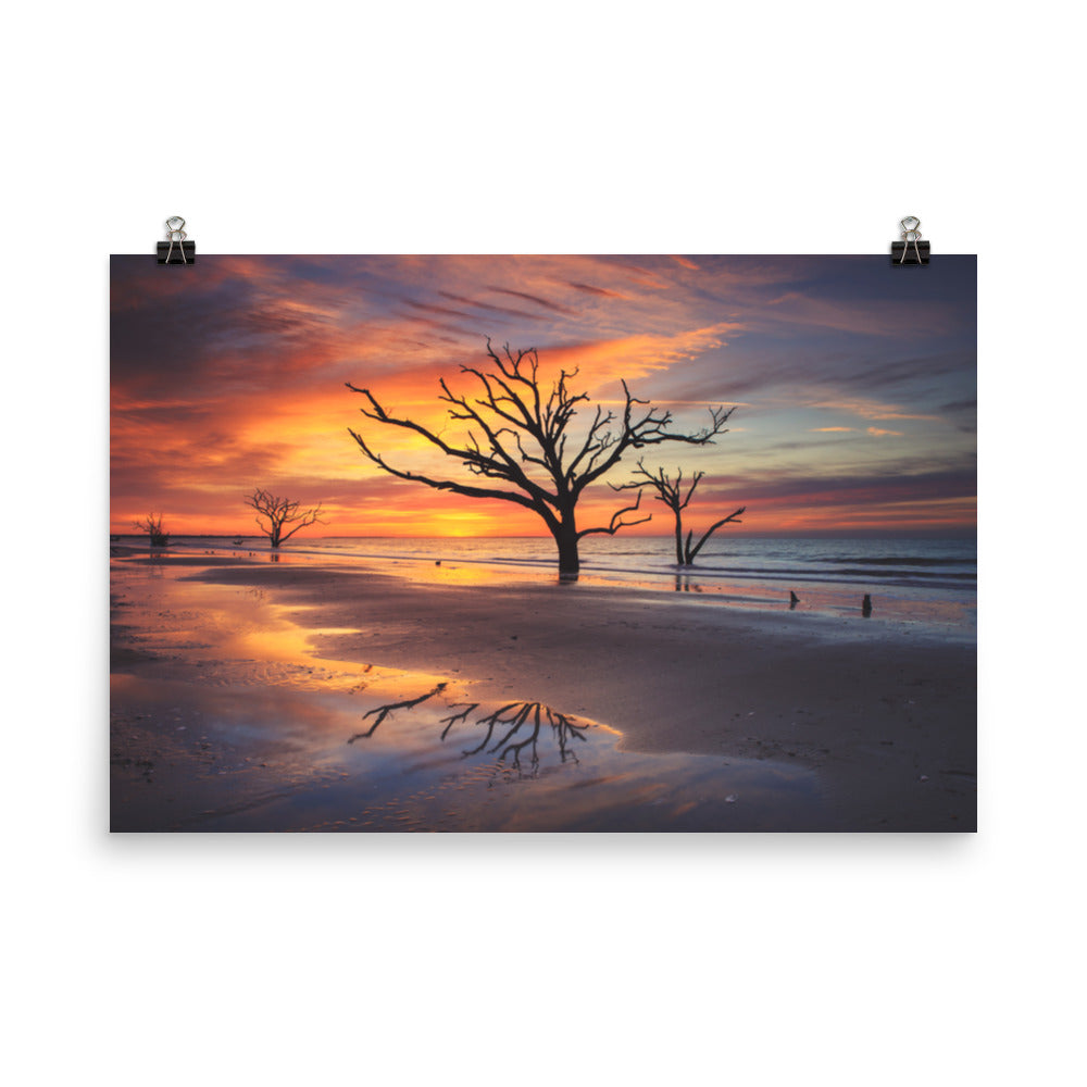 Sunrise and Trees At Edisto Island Coastal Landscape Photo Loose Wall Art Prints