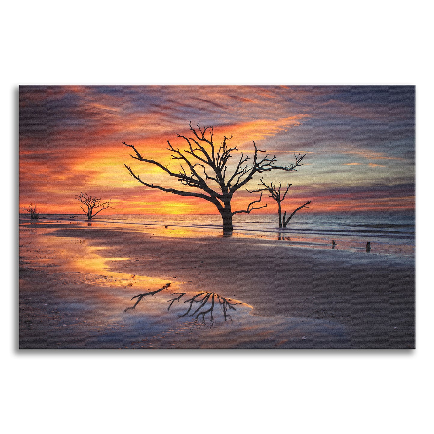 Sunrise and Trees At Edisto Island Coastal Landscape Photo Canvas Wall Art Prints