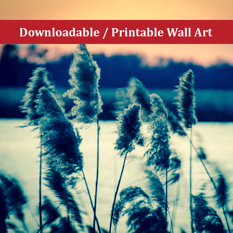 Sunset on the Marsh 2 Landscape Photo DIY Wall Decor Instant Download Print - Printable - PIPAFINEART