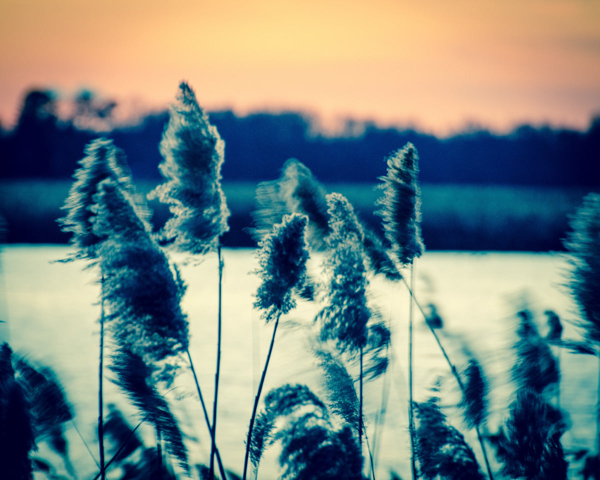 Sunset on the Marsh 2 Landscape Photo DIY Wall Decor Instant Download Print - Printable - PIPAFINEART