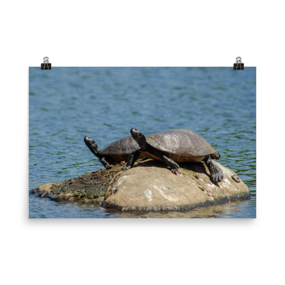 Sunshine Rock Loose Wall Art Print