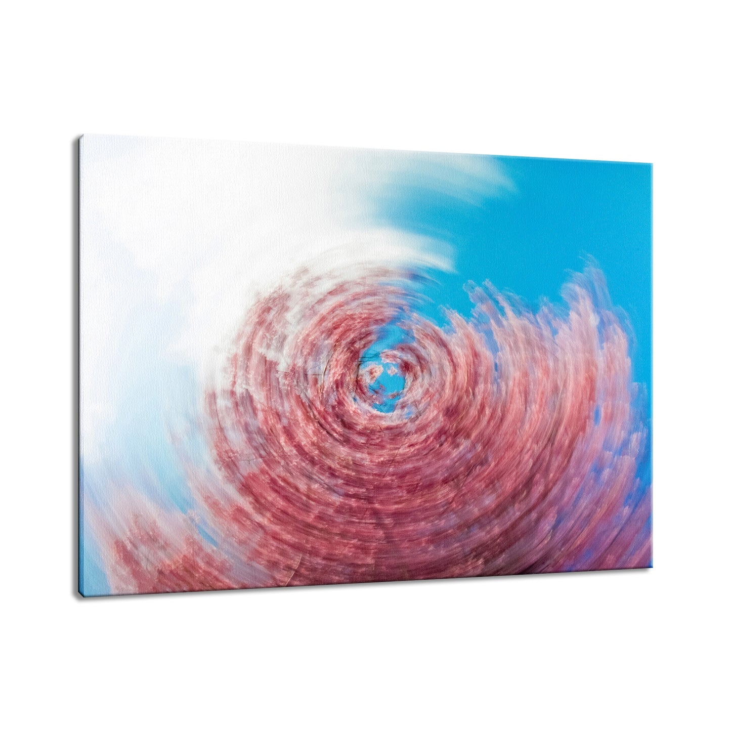 Swirling Tree Abstract Photo Fine Art Canvas & Unframed Wall Art Prints - PIPAFINEART