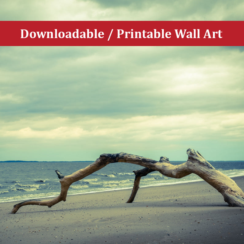 The Cove Landscape Photo DIY Wall Decor Instant Download Print - Printable - PIPAFINEART