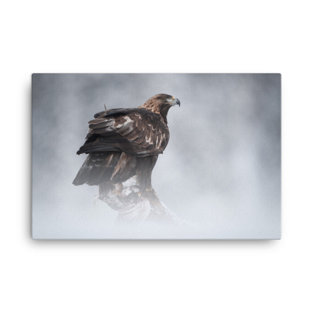 The Victor - Golden Eagle with Prey In The Mist Animal Wildlife Photograph Canvas Wall Art Prints