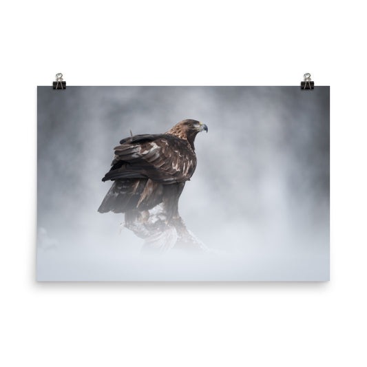 The Victor - Golden Eagle In The Mist Rustic Farmhouse Style Wildlife Photograph Loose Wall Art Print