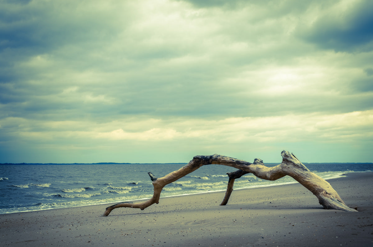 The Cove Coastal Landscape Photo Fine Art Canvas Wall Art Prints - PIPAFINEART
