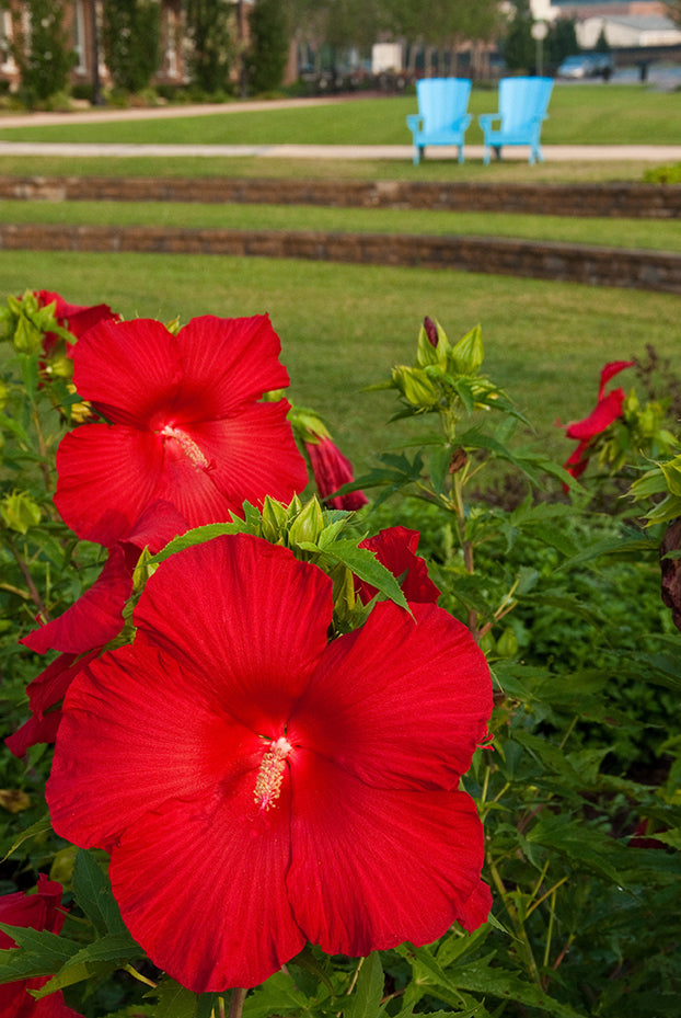 The Riverfront 2 Nature / Floral Photo Fine Art Canvas Wall Art Prints - PIPAFINEART