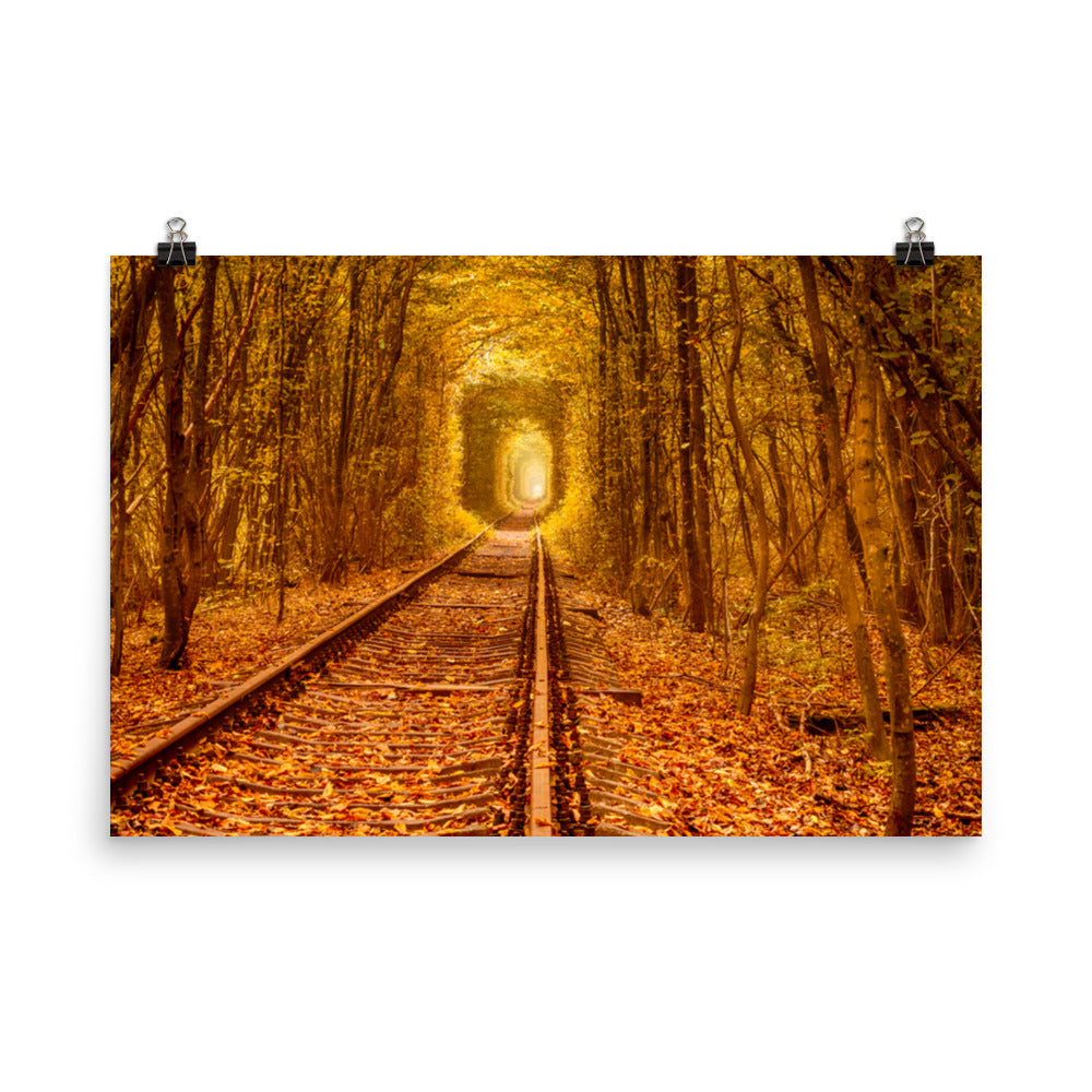 Farmhouse Wall Decor Large: Ukraine Forest Railway Tunnel of Love Landscape Photo Loose Wall Art Print