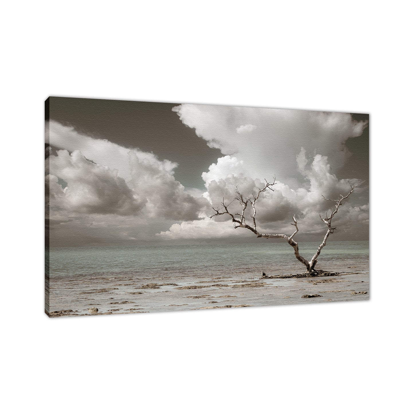 Wanderlust Aged and Colorized Coastal Landscape Photo Fine Art Canvas Prints - PIPAFINEART