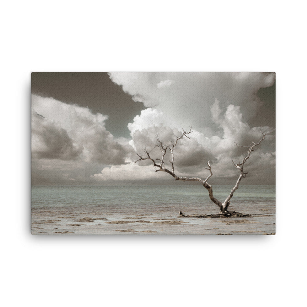 Wanderlust Aged and Colorized Coastal Landscape Photo Canvas Wall Art Prints