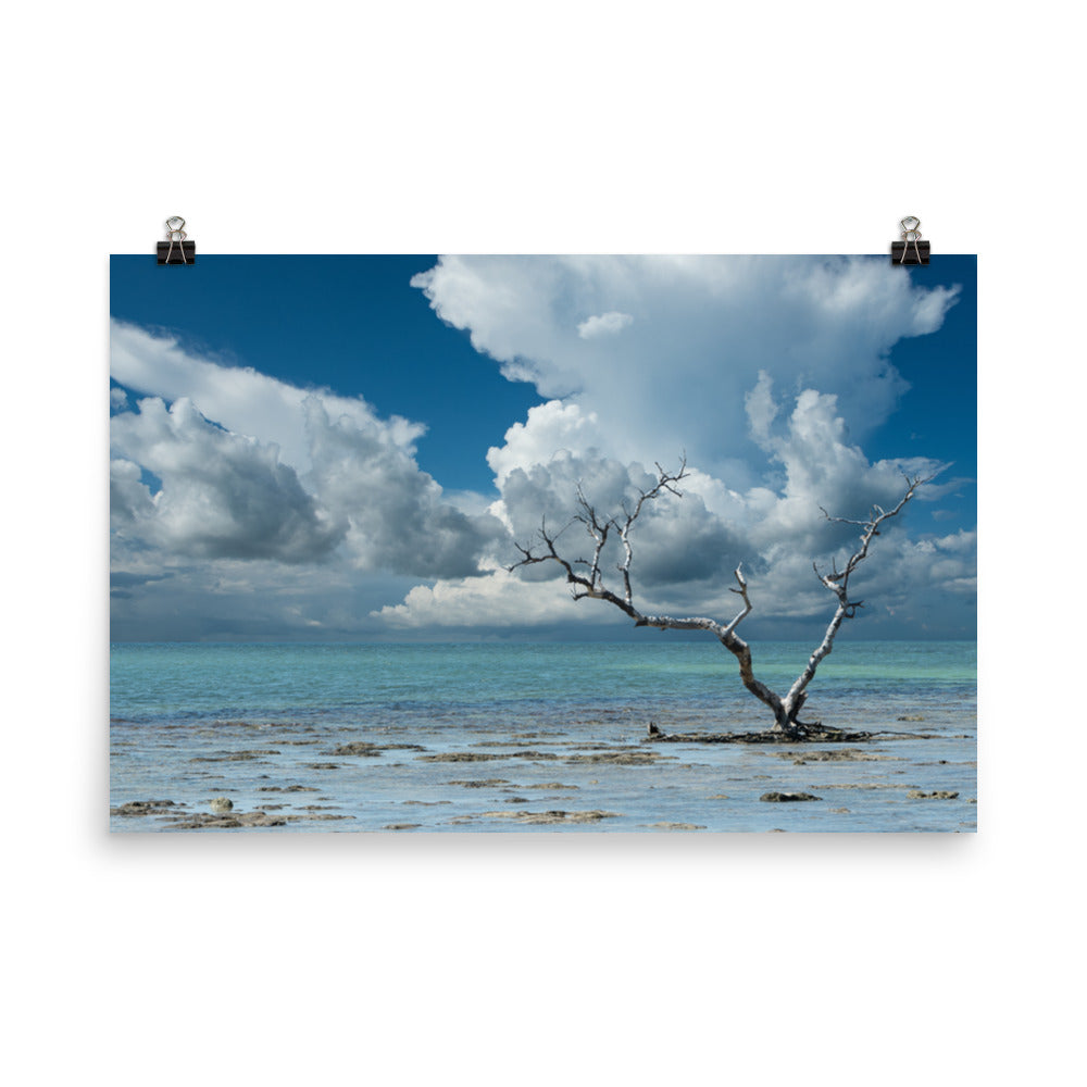 Wanderlust Traditional Color Coastal Landscape Photo Loose Unframed Wall Art Prints