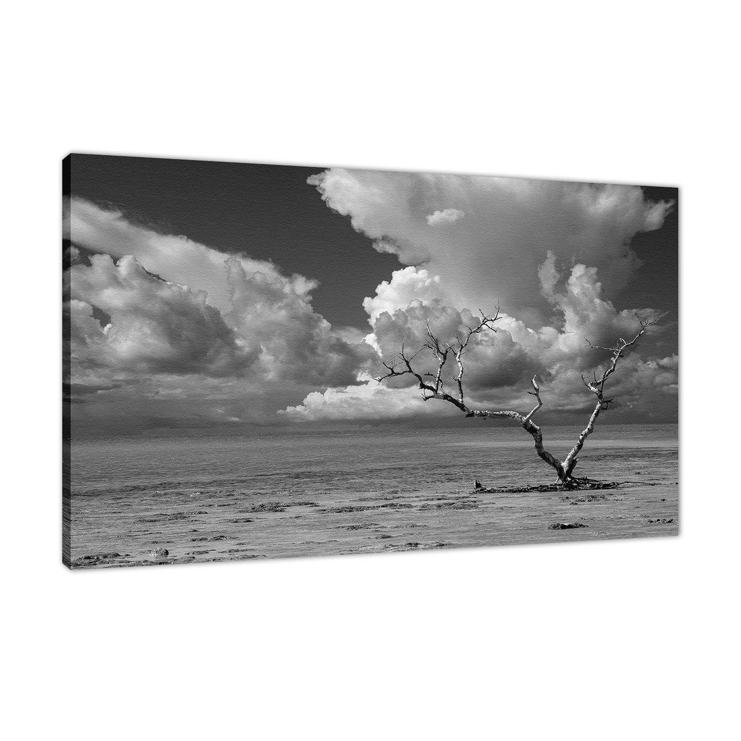 Wanderlust High Contrast Black and White Coastal Landscape Photo Fine Art Canvas Prints - PIPAFINEART