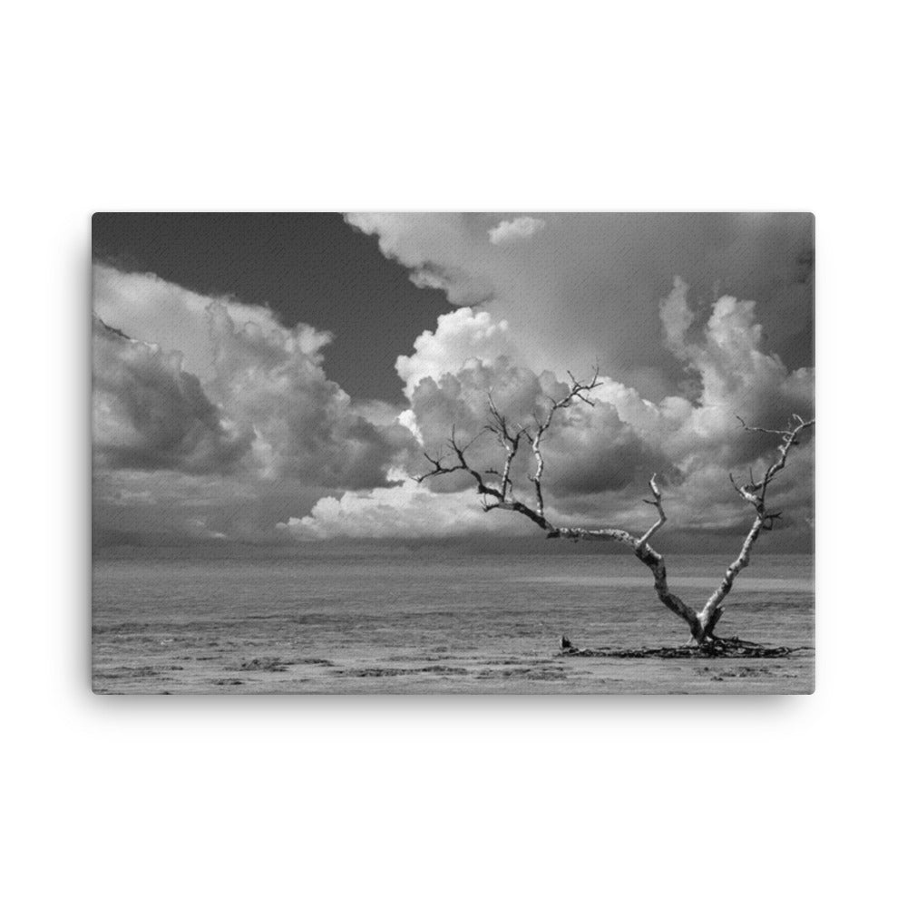 Wanderlust High Contrast Black and White Coastal Landscape Photo Canvas Wall Art Print