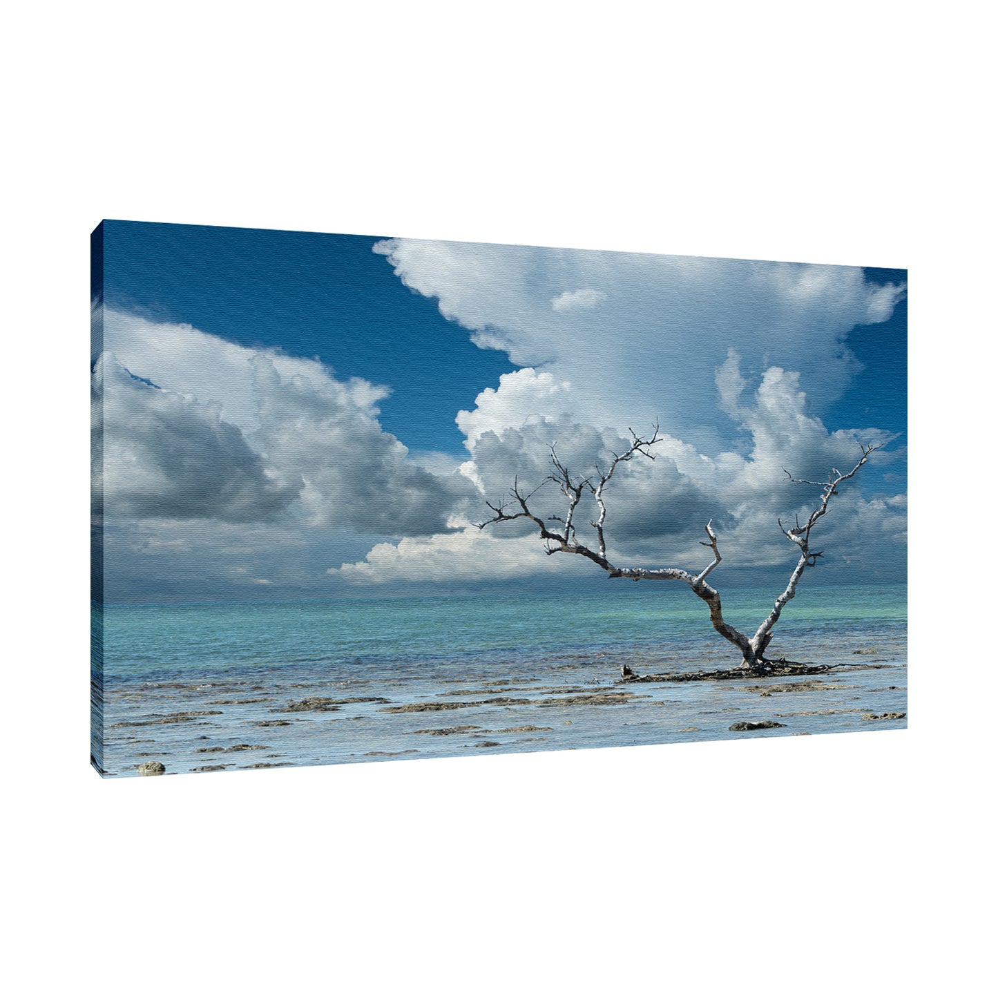 Wanderlust Traditional Color Coastal Landscape Photo Fine Art Canvas Prints - PIPAFINEART