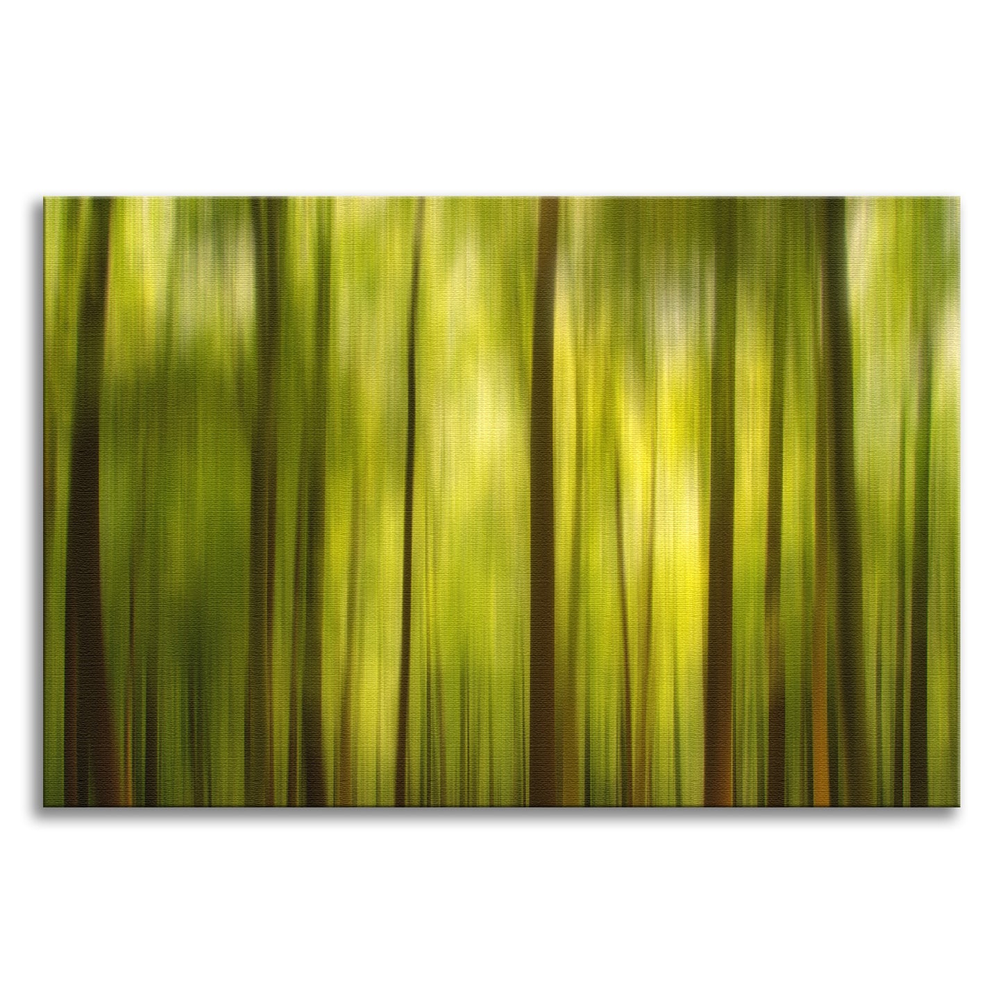 Warmth of the Forest's Colors Abstract Photo Canvas Wall Art Print