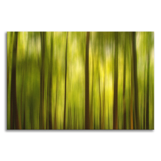Warmth of the Forest's Colors Abstract Photo Canvas Wall Art Print