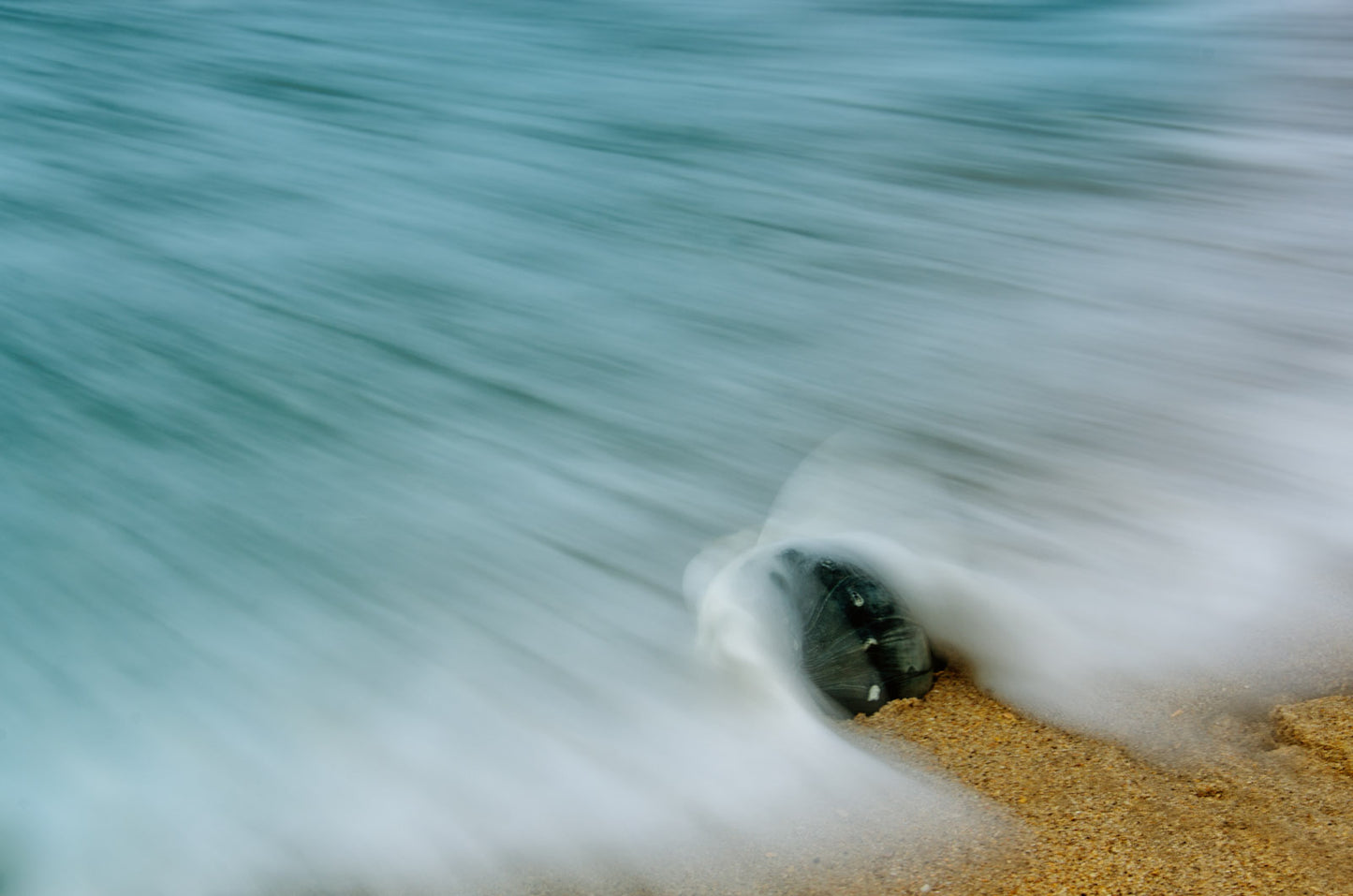 Whelk Seashell and Misty Wave DIY Wall Decor Instant Download Print - Printable Wall Art - PIPAFINEART