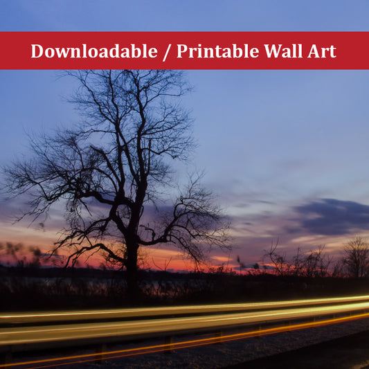 Wicked Tree Landscape Photo DIY Wall Decor Instant Download Print - Printable  - PIPAFINEART