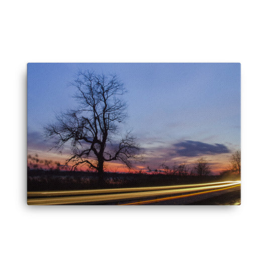 Wicked Tree Rural Landscape Canvas Wall Art Prints