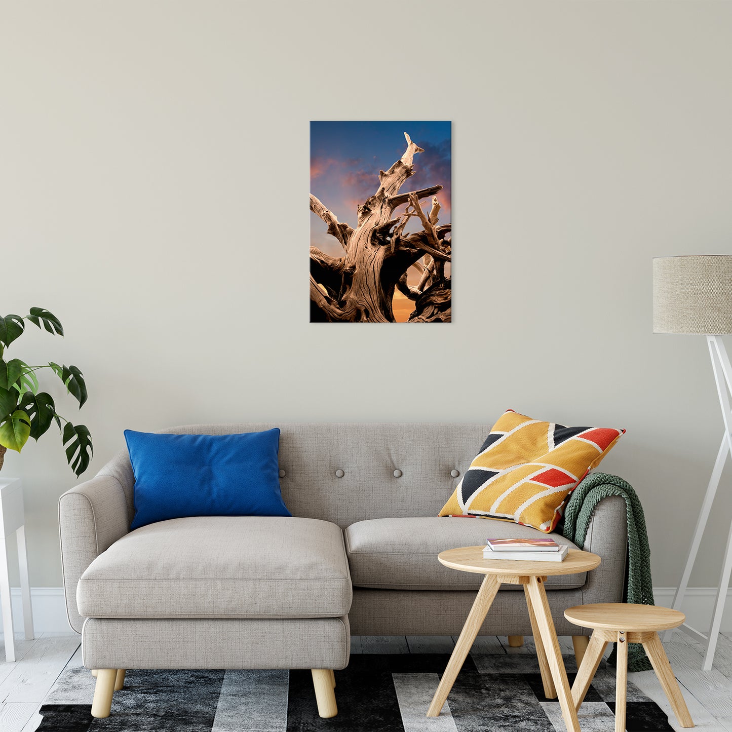 Coastal Modern Wall Art: Wilted Cypress Tree and Sunrise Nature Photo Fine Art Canvas Wall Art Print