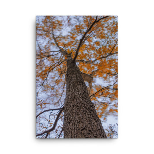 Wind in the Trees Botanical Nature Canvas Wall Art Prints