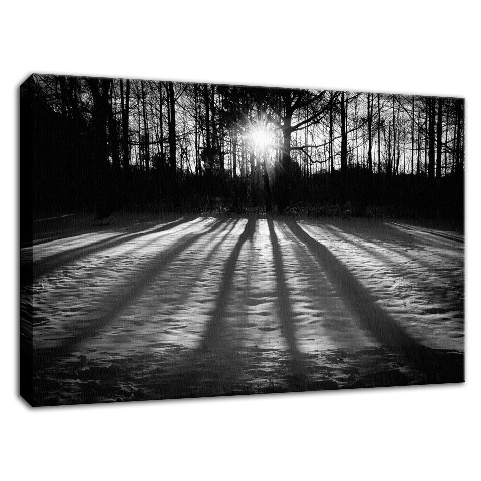 Winter Shadows from the Trees Black & White Fine Art Canvas Wall Art Prints - PIPAFINEART