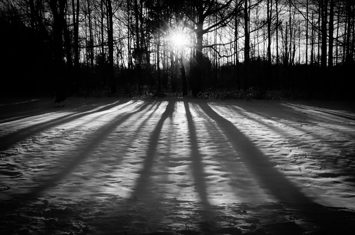 Winter Shadows from the Trees Black & White Fine Art Canvas Wall Art Prints  - PIPAFINEART