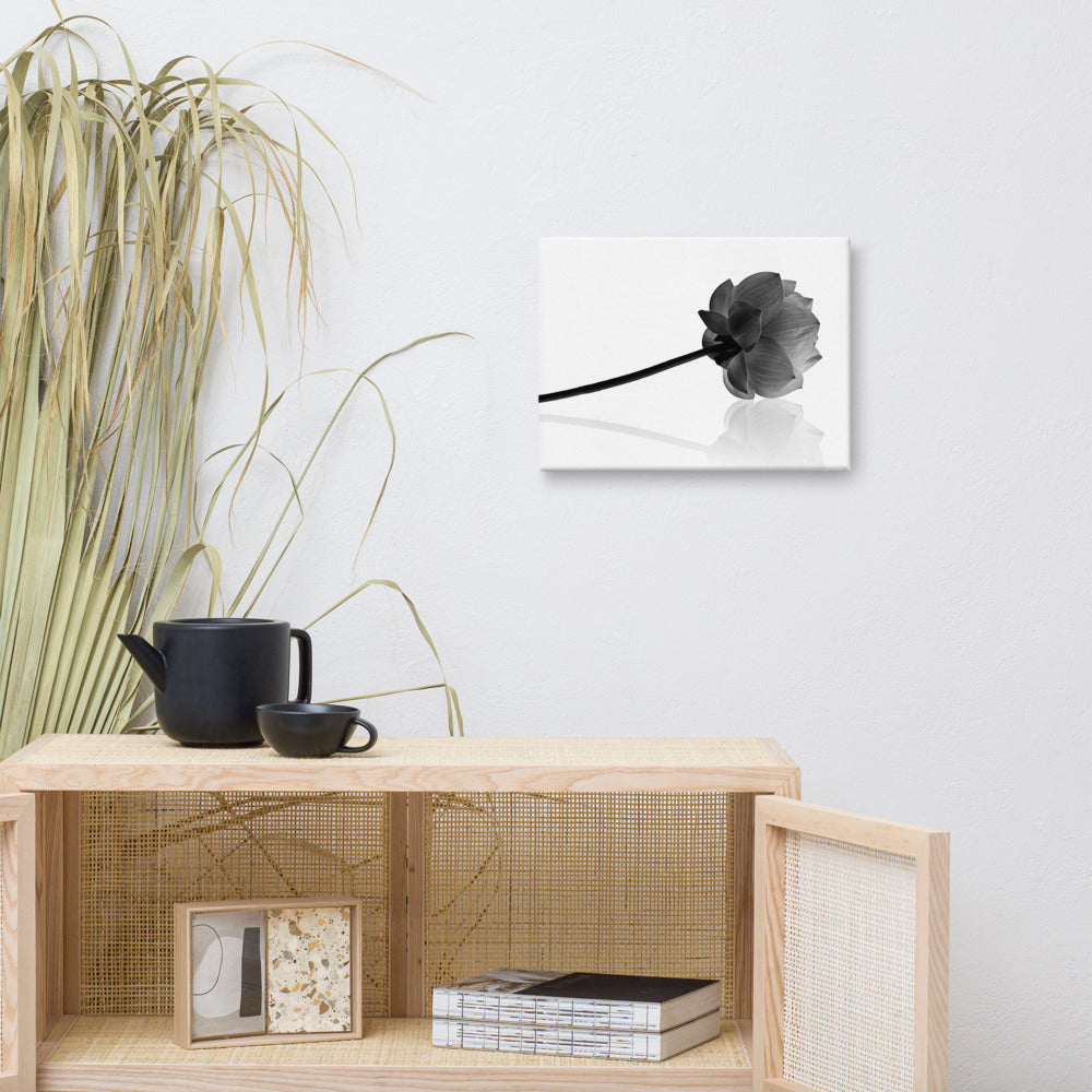 Resting Lotus Flower Black & White Floral Nature Photo Canvas Wall Decorating Art Print 12??16 - PIPAFINEART