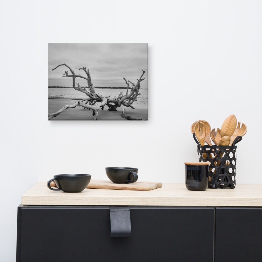Canvas Nautical Wall Art: Driftwood on Boneyard Beach Florida 3 Black and White Rustic Coastal Landscape Photo Canvas Wall Art Print