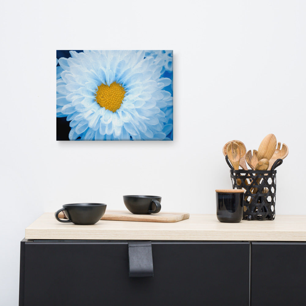 Blue Botanical Artwork: Blue Tinted Chrysanthemums Nature Photo For Ukraine Refugees Floral Canvas Wall Art Print