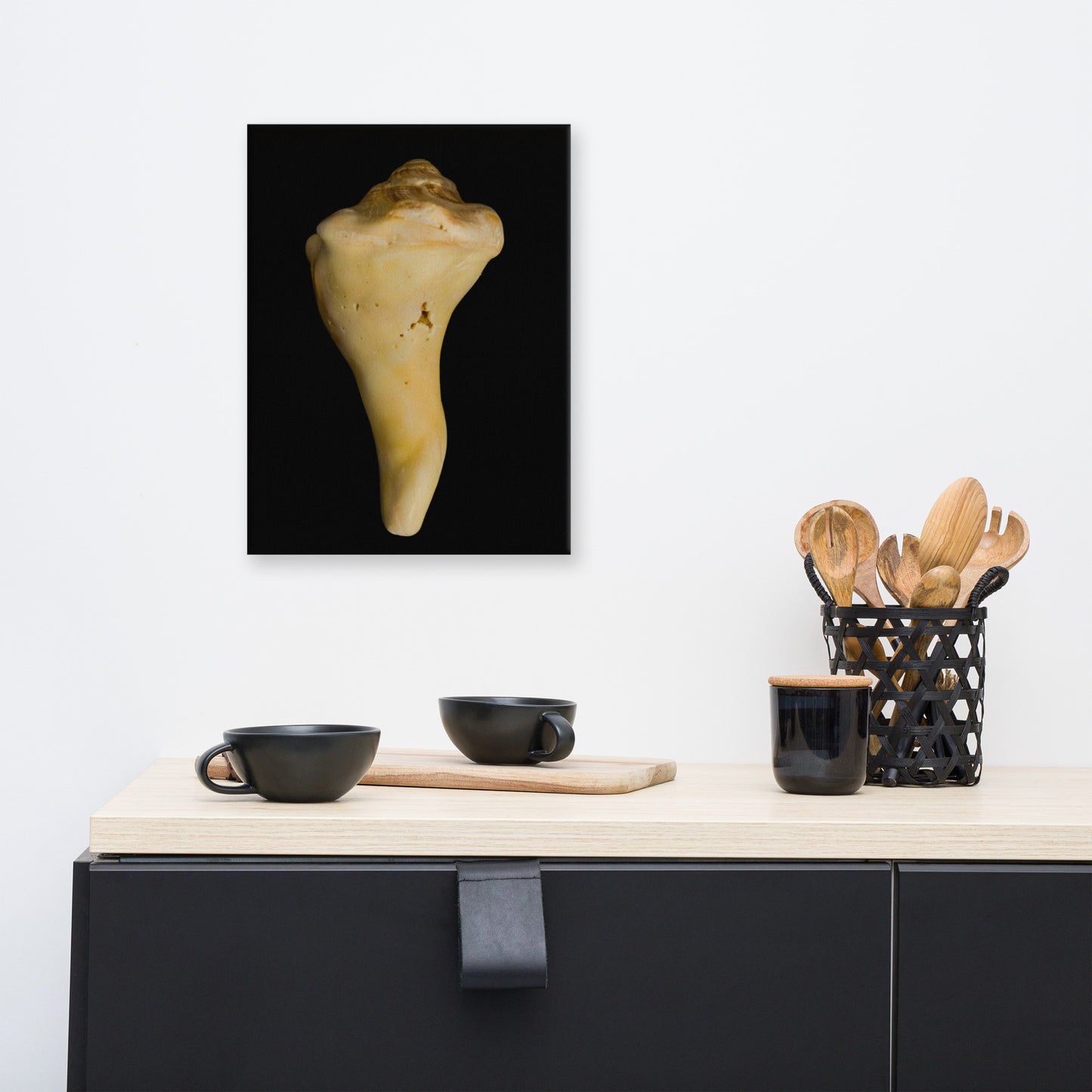 States of Erosion Image 8 Whelk Shell Coastal Nature Canvas Wall Art Prints