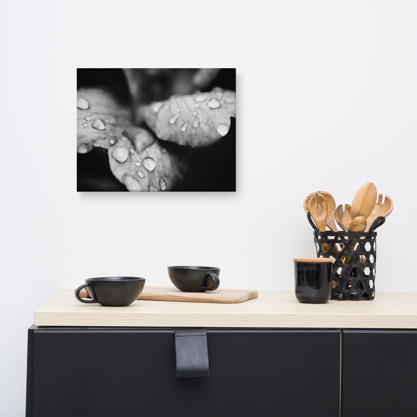 Raindrops on Wild Rose Plant Black and White Floral Botanical Nature Photo Canvas Wall Art Prints