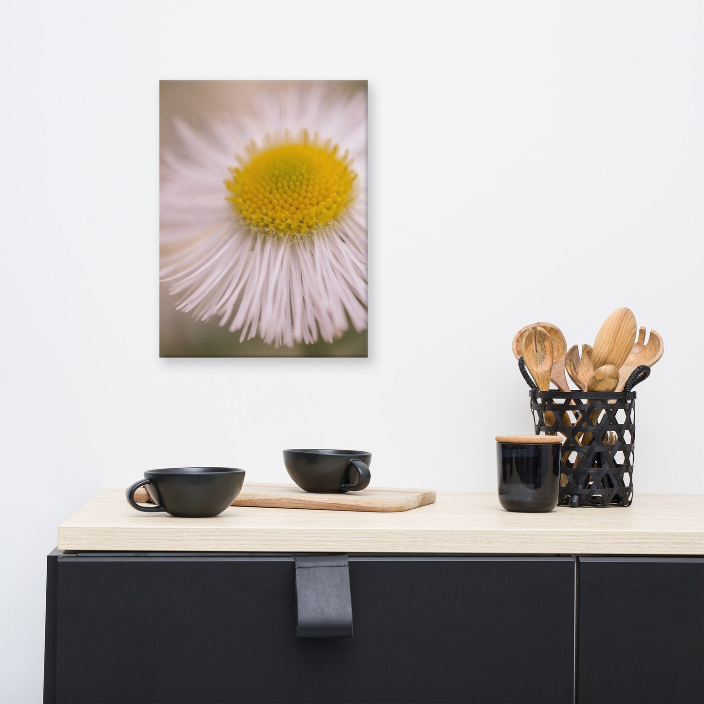 Philadelphia Fleabane Single Bloom Floral Botanical Nature Photo Canvas Wall Art Prints