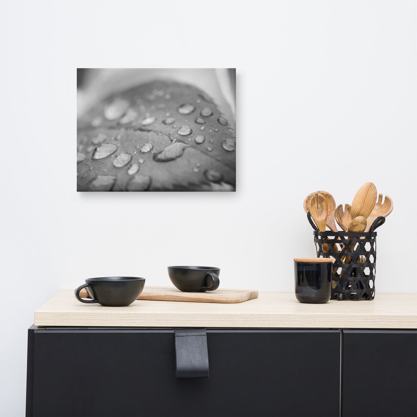 Dew on Leaf of Rose Plant Black and White Floral Nature Canvas Wall Art Prints