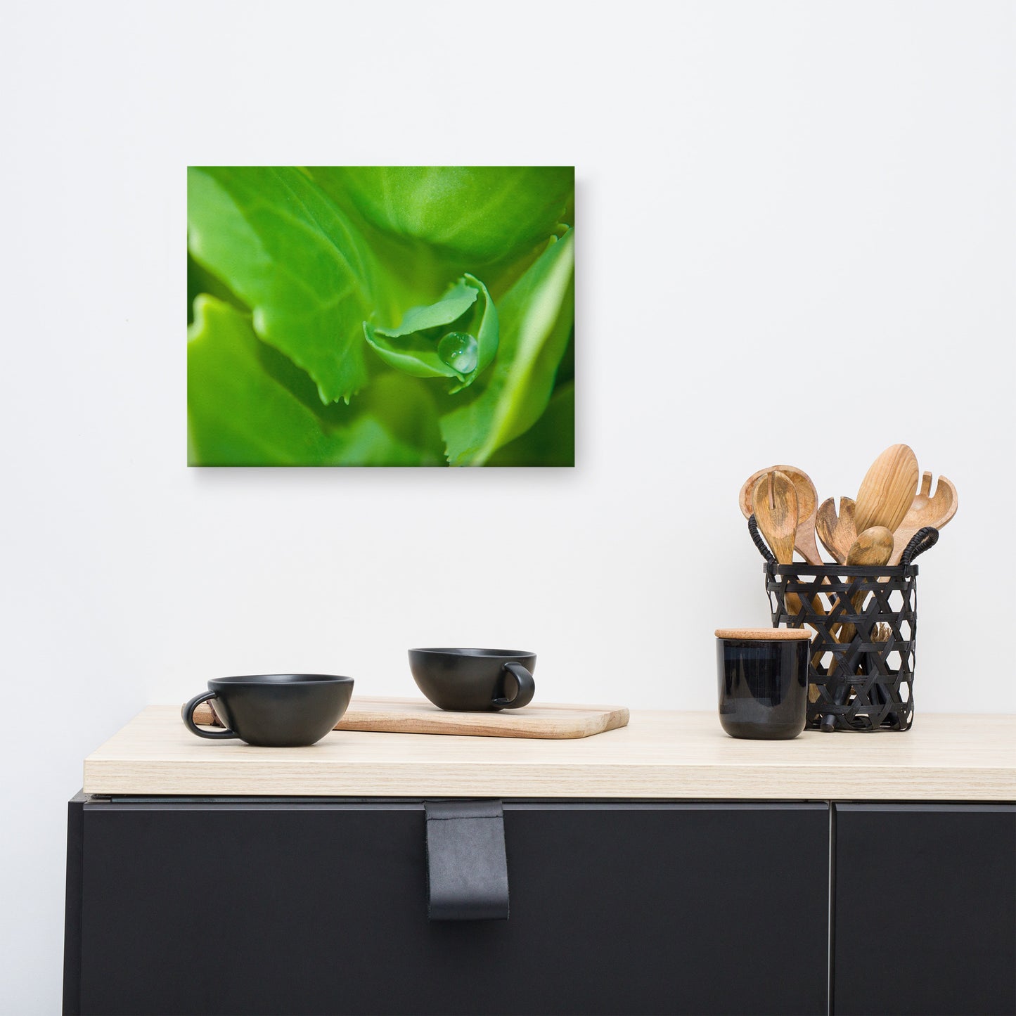 Cupped Droplet Minimal Botanical Nature Photograph Canvas Wall Art Prints