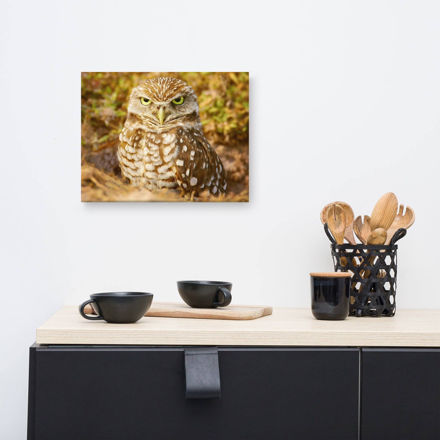 Burrowing Owl in Golden Light Wildlife Nature Photo Canvas Wall Art Prints