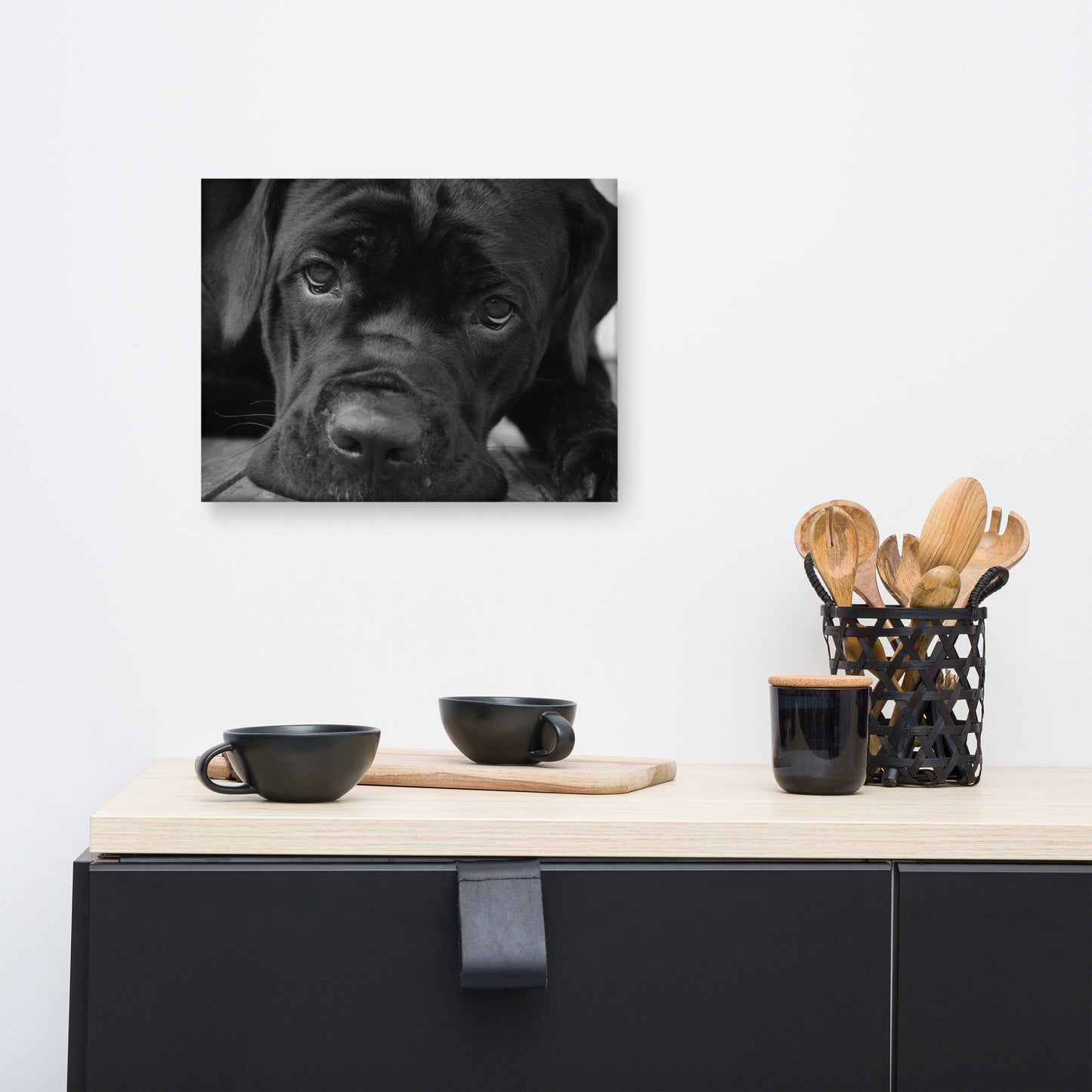 Cane Corso on Porch Animal / Dog Black & White Canvas Wall Art Prints